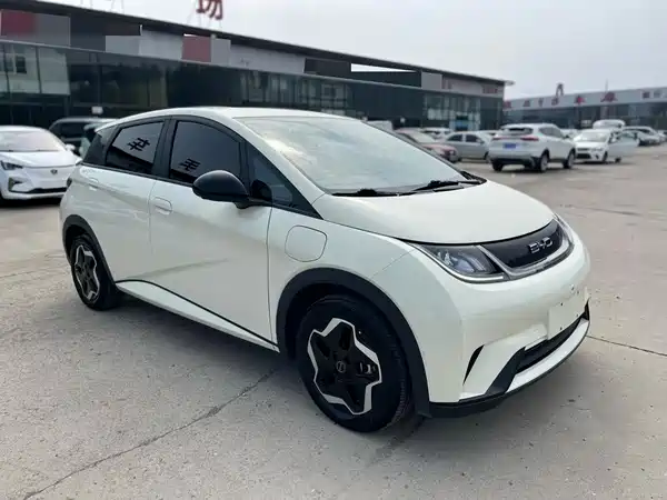 BYD Dolphin 2022