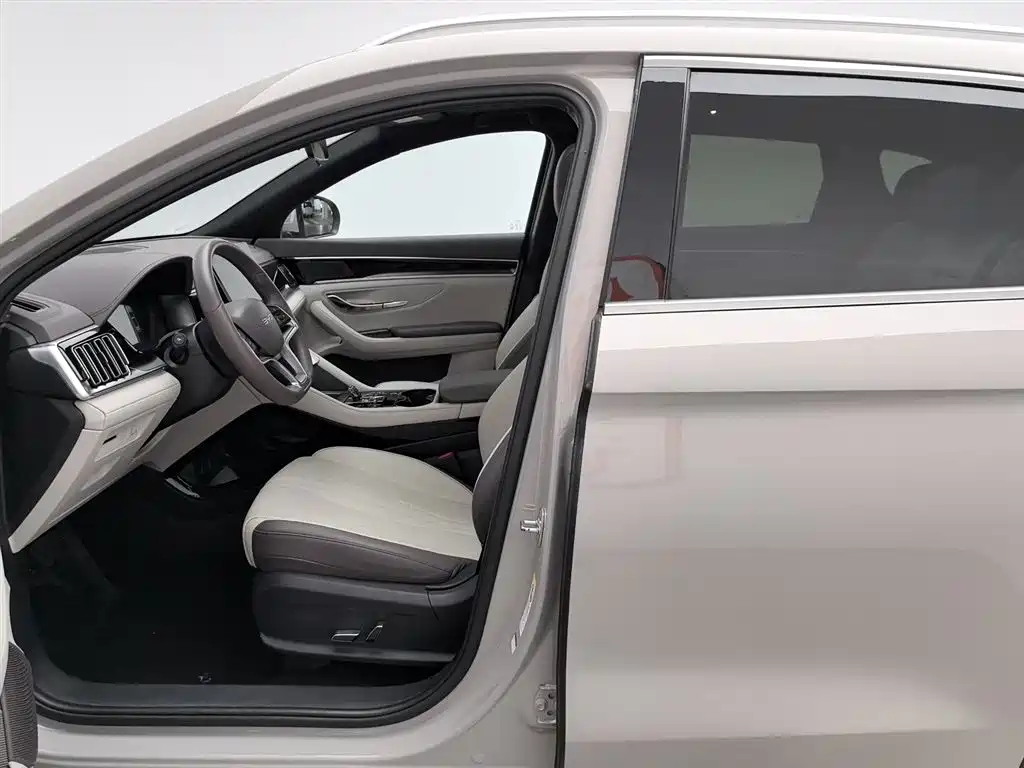 BYD PLUS New Energy 2024 — фото 10