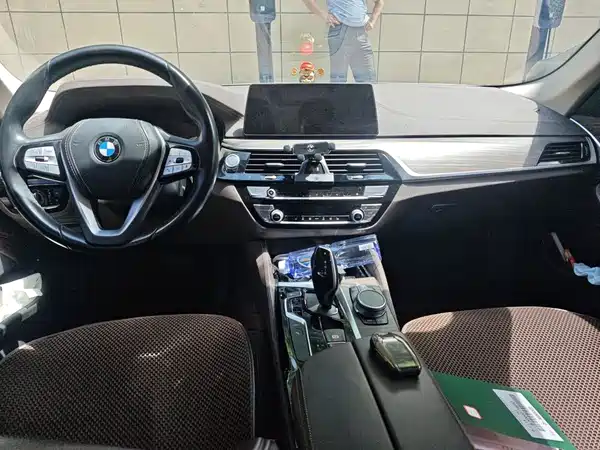 BMW 5 Series New Energy 2020