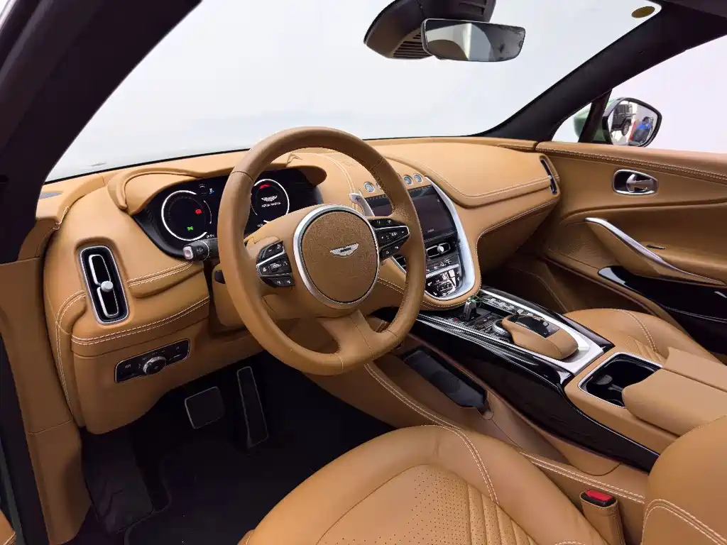Aston Martin DBX 2023 — фото 17