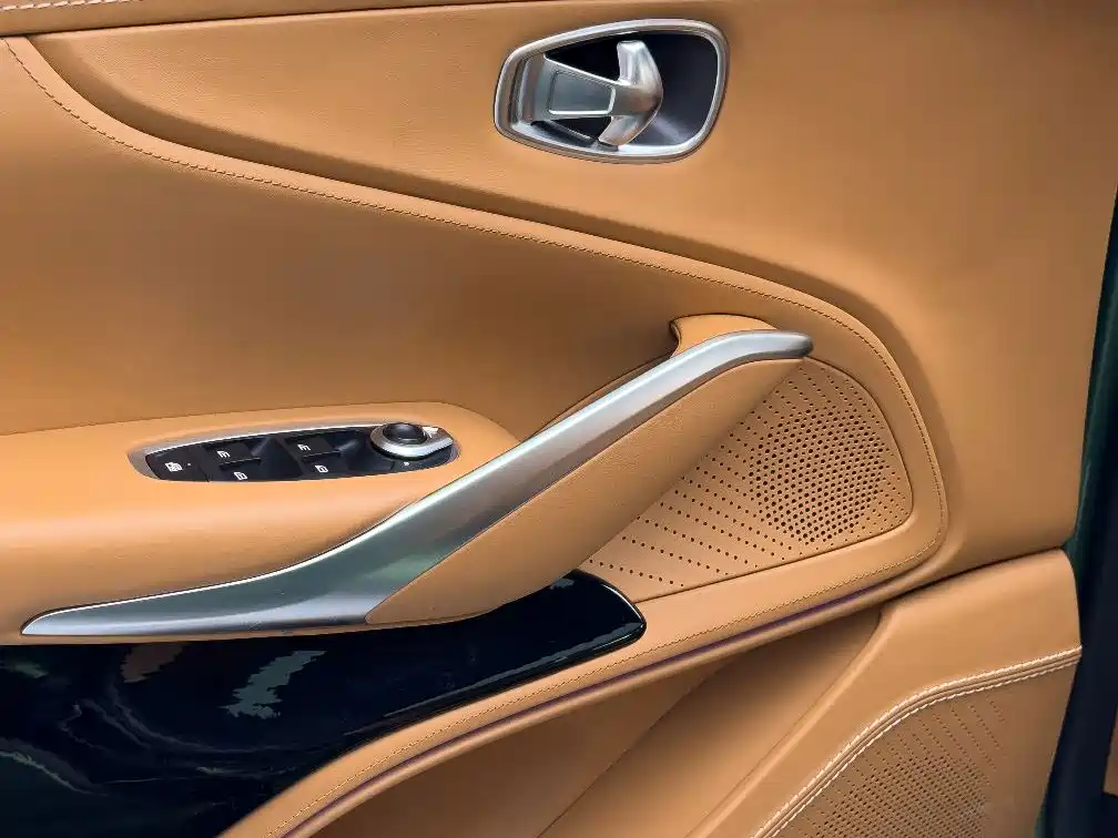 Aston Martin DBX 2023 — фото 11