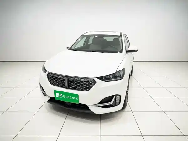 Wey VV6 2021