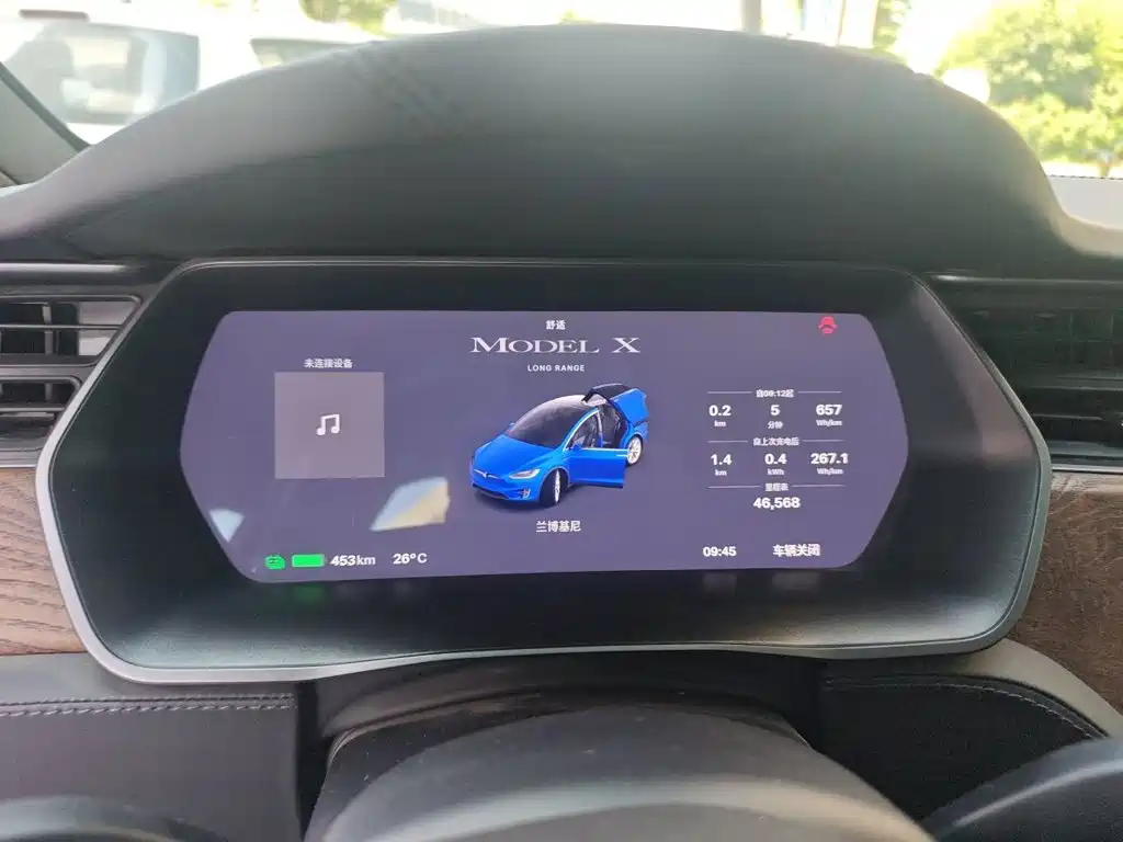 Tesla Model X 2020 — фото 12