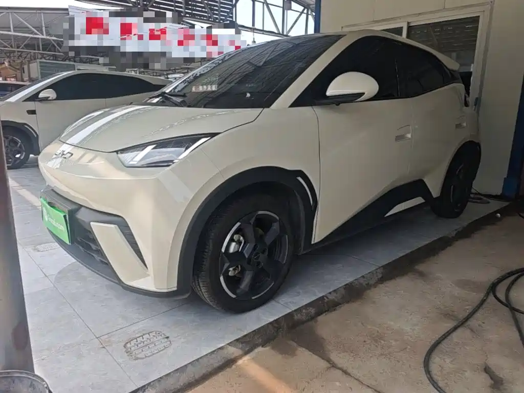 BYD Seagull 2024