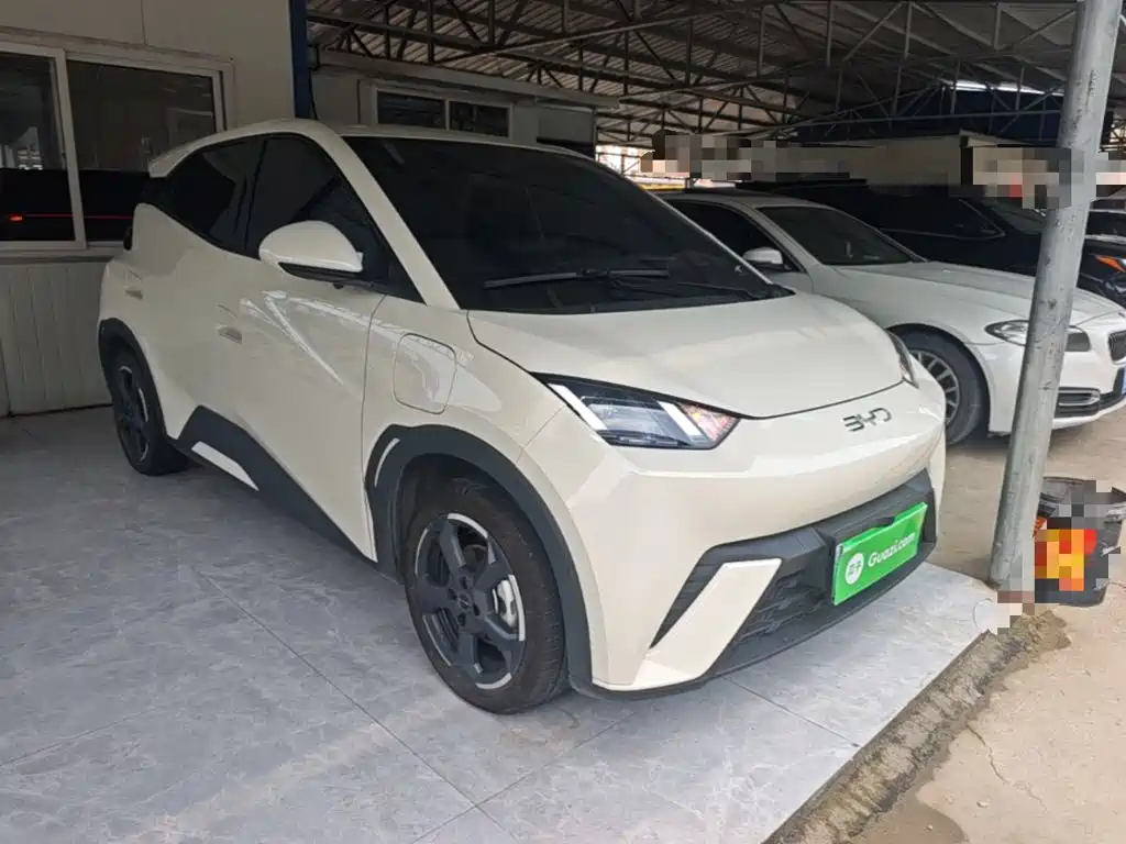 BYD Seagull 2024