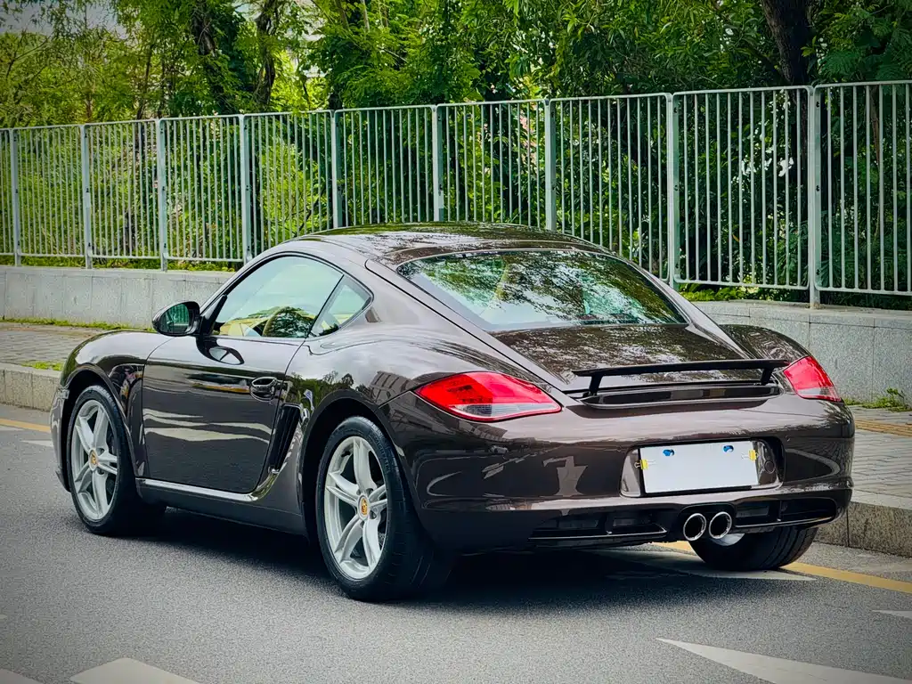 Porsche Cayman 2009 — фото 30