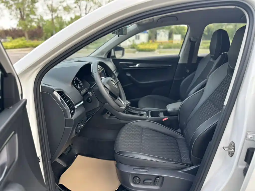 Skoda Karoq 2020 — фото 11