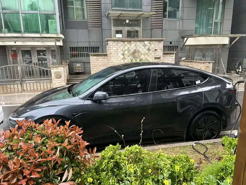 Tesla Model Y 2025 — фото 3