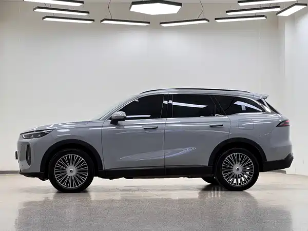 Chery Fengyun T9 2024