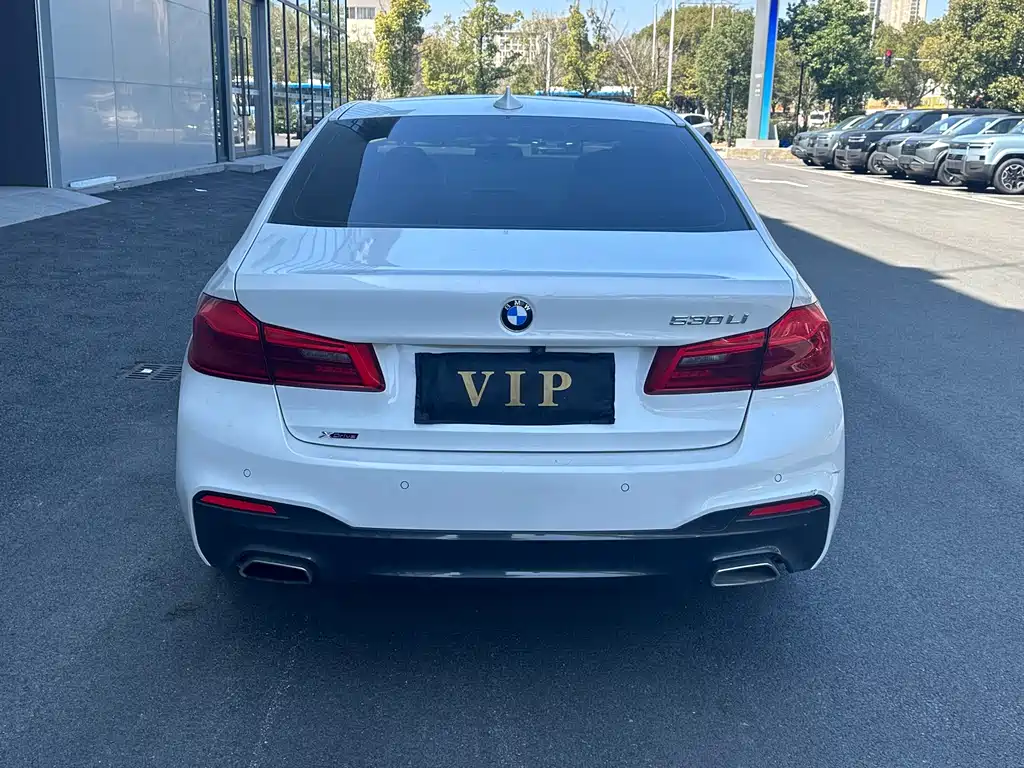 BMW 5 Series 2018 — фото 10