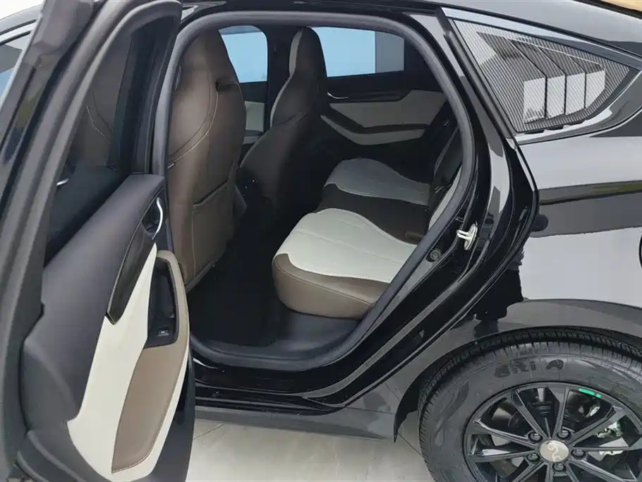 BYD Qin PLUS 2024 — фото 11