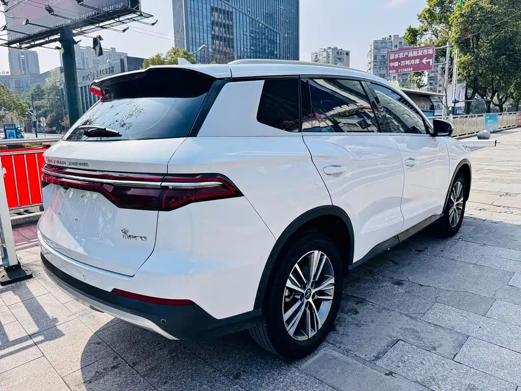 BYD Pro 2020 — фото 10