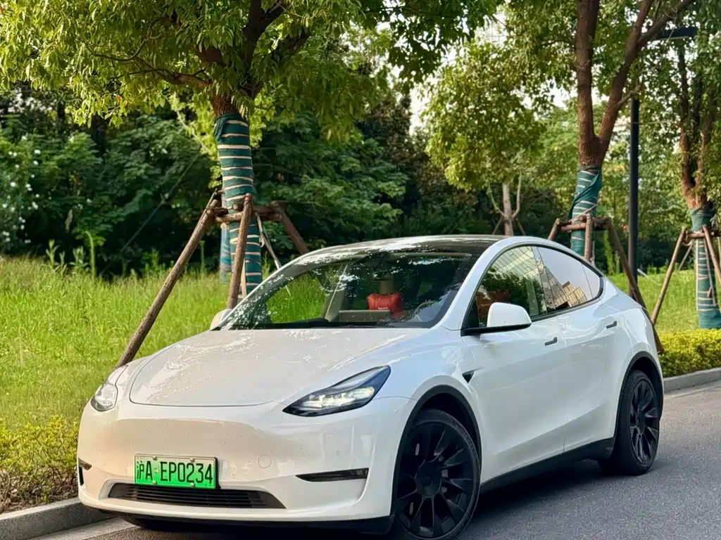 Tesla Model Y 2021 — фото 1