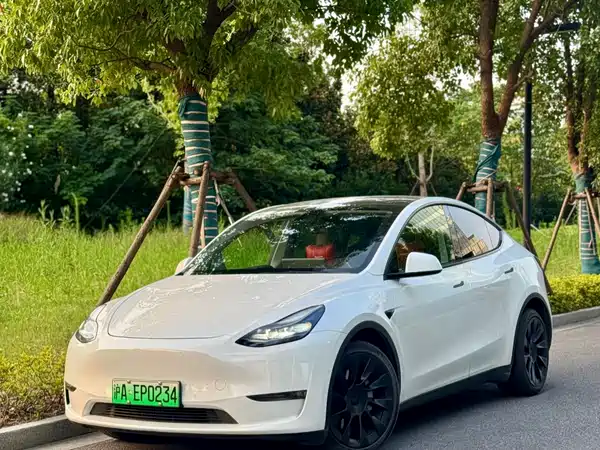 Tesla Model Y 2021
