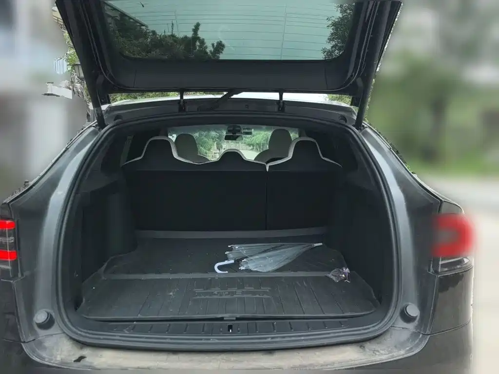 Tesla Model X 2020 — фото 15