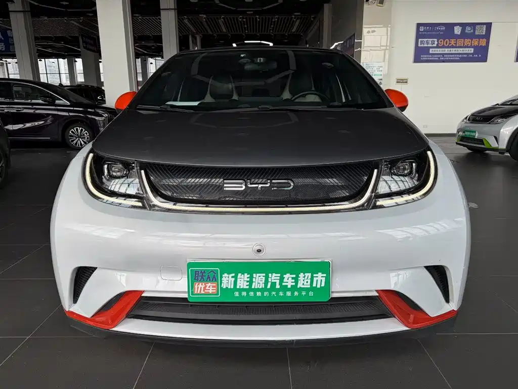BYD Dolphin 2022