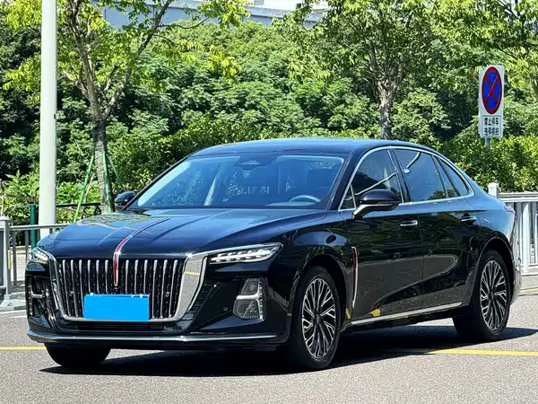 Hongqi H5 2024