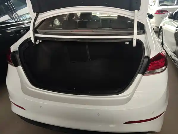 Hyundai Celesta 2019