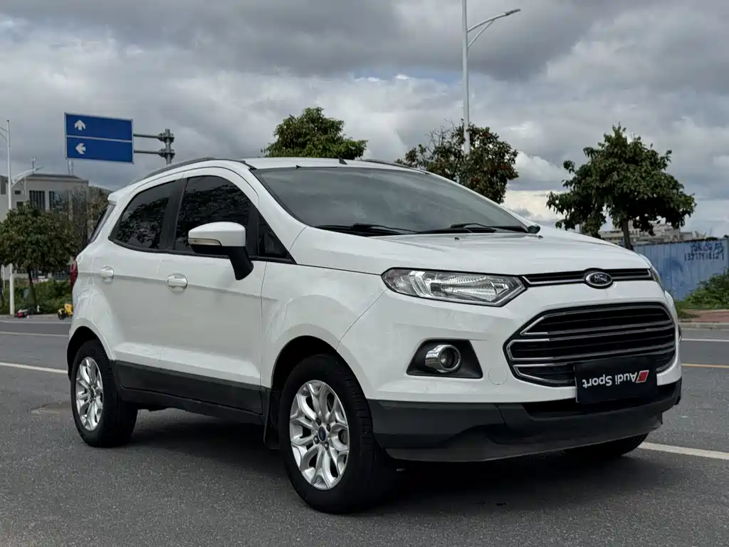 Ford Ecosport 2013 — фото 12