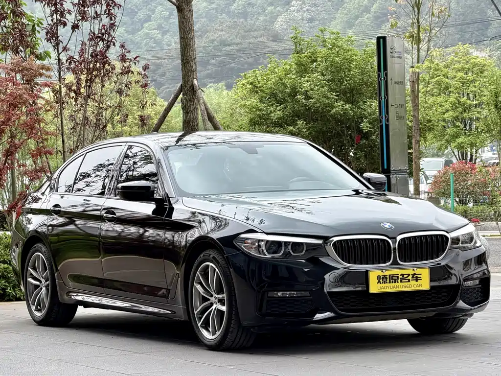 BMW 5 Series 2019 — фото 3