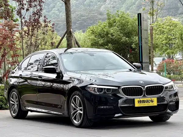 BMW 5 Series 2019