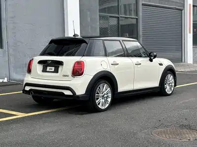MINI MINI 2021