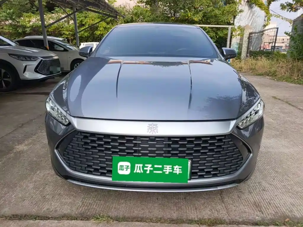 BYD Qin PLUS 2021