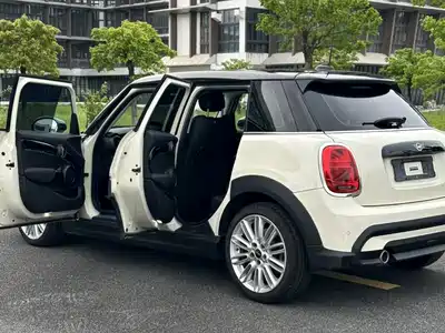 MINI MINI 2021