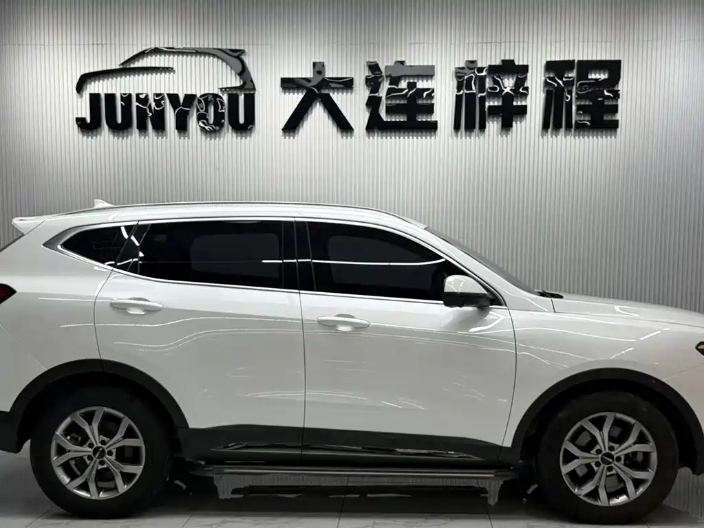 Haval H6 2022 — фото 8