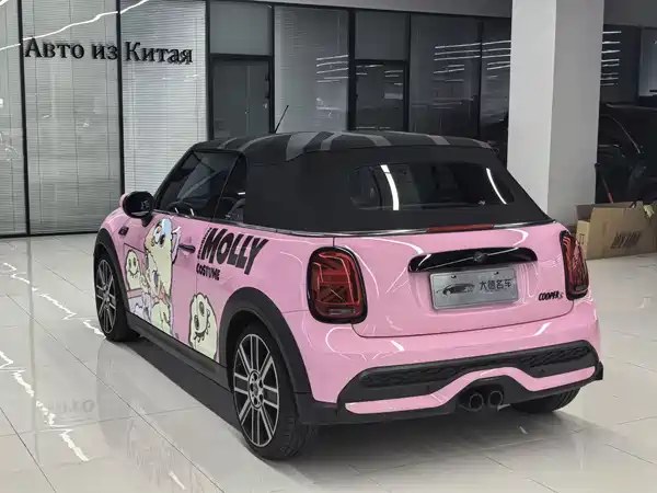 MINI MINI 2023