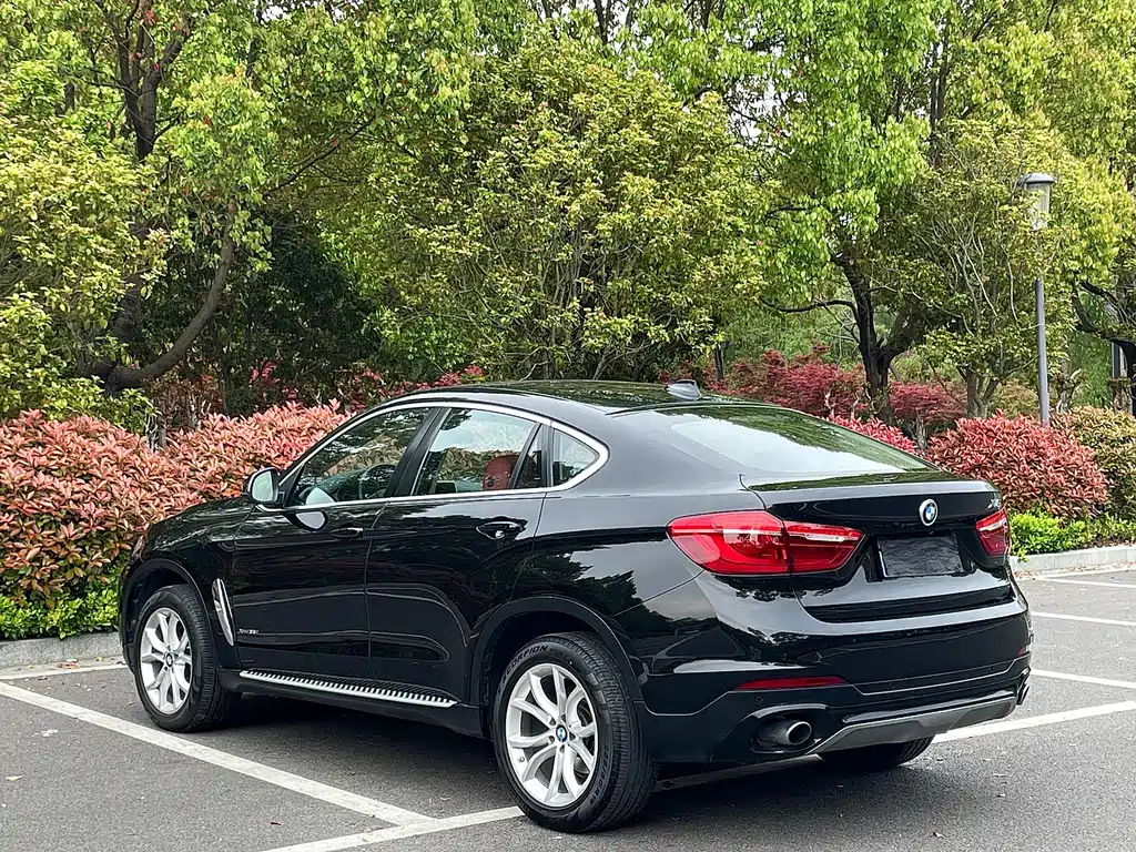 BMW X6 2017 — фото 5