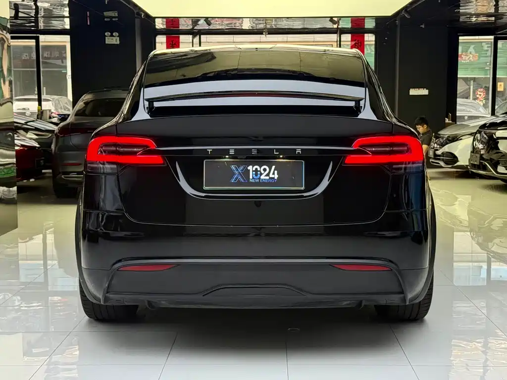 Tesla Model X 2023 — фото 16