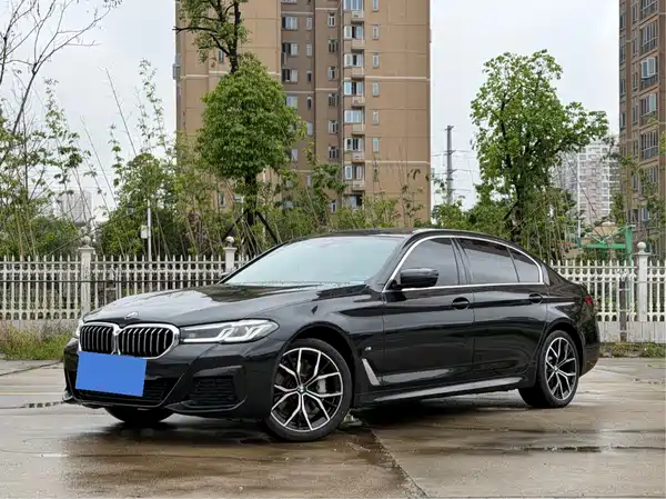 BMW 5 Series 2021