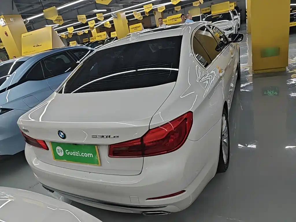 BMW 5 Series New Energy 2020