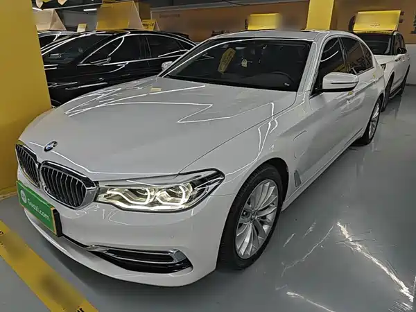 BMW 5 Series New Energy 2020