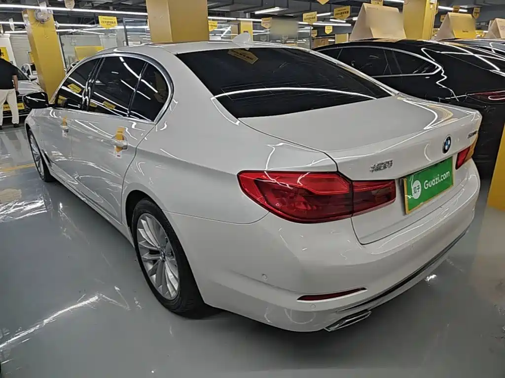 BMW 5 Series New Energy 2020