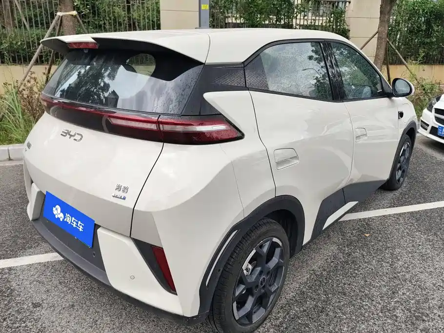 BYD Seagull 2025