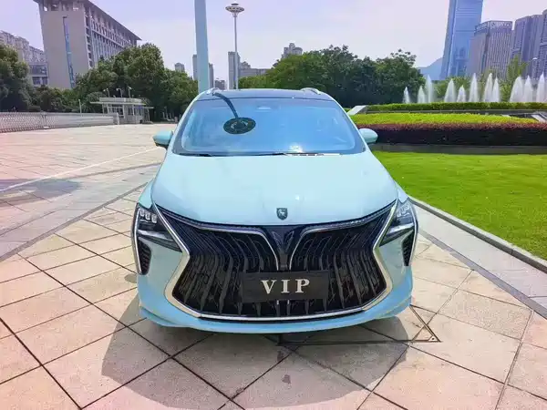 Dongfeng Popular Yacht 2022