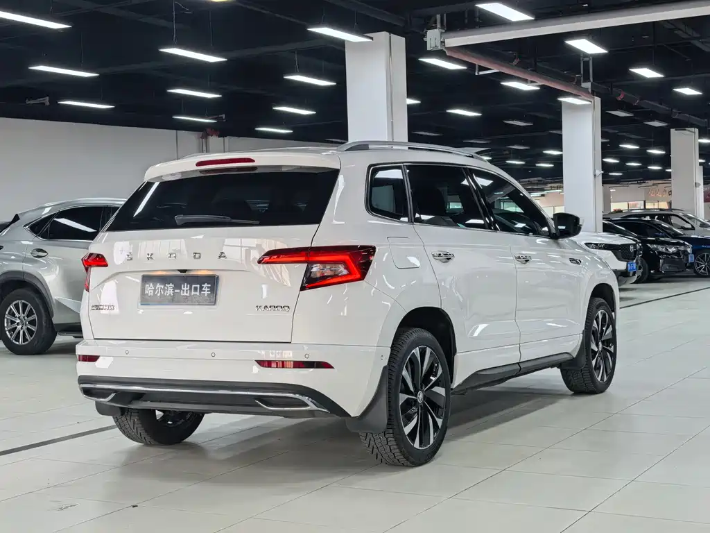 Skoda Karoq 2022 — фото 22