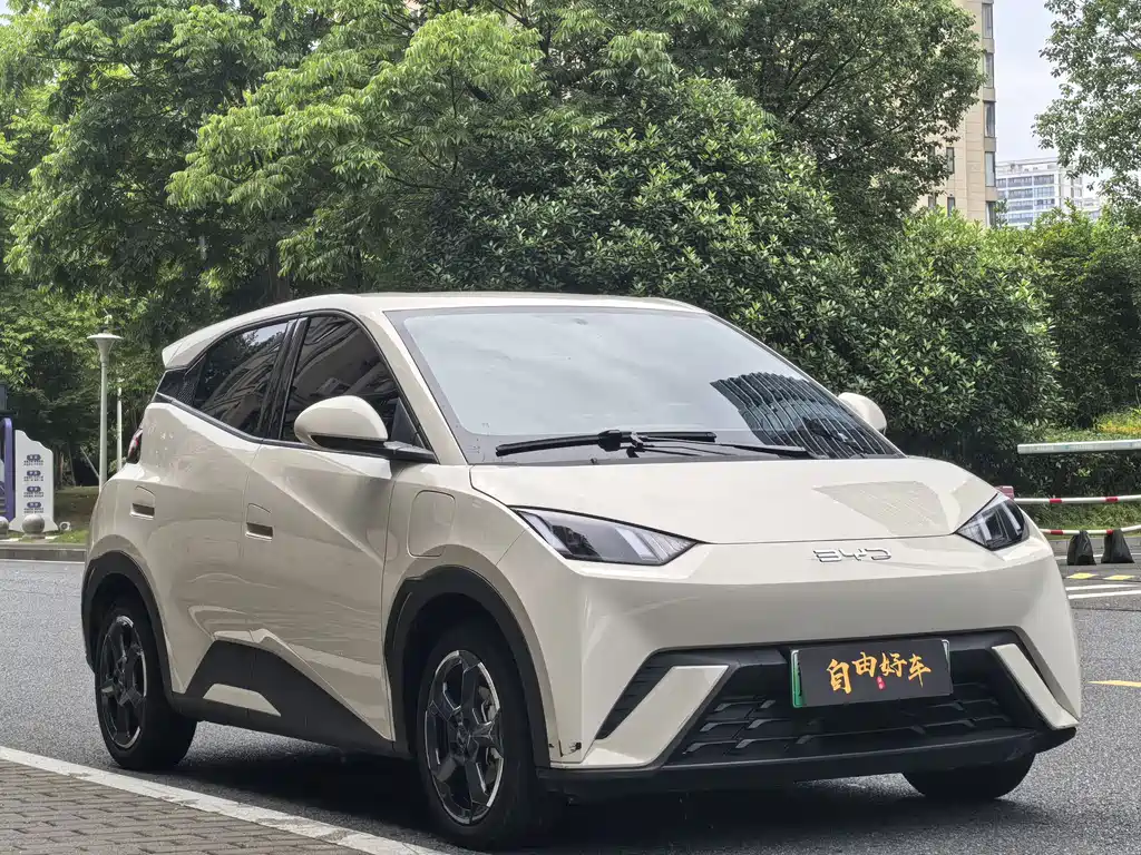 BYD Seagull 2024