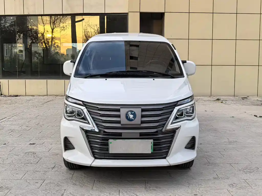 Fengxing Lingzhi New Energy 2022