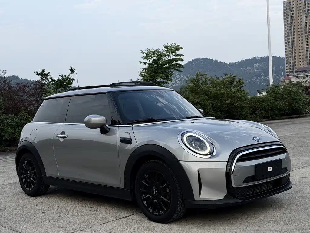 MINI MINI 2024