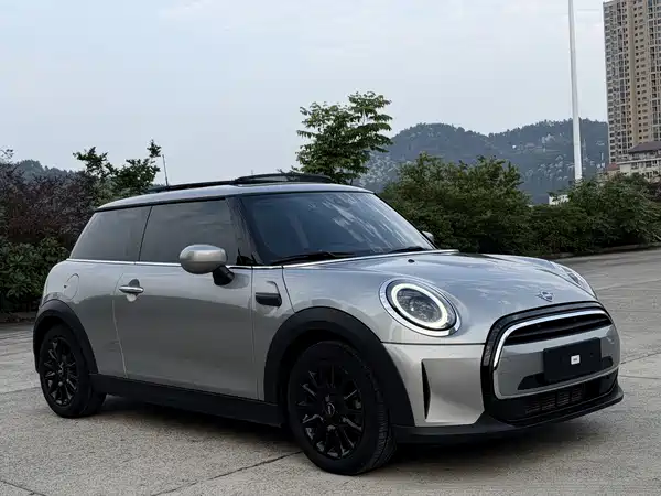 MINI MINI 2024
