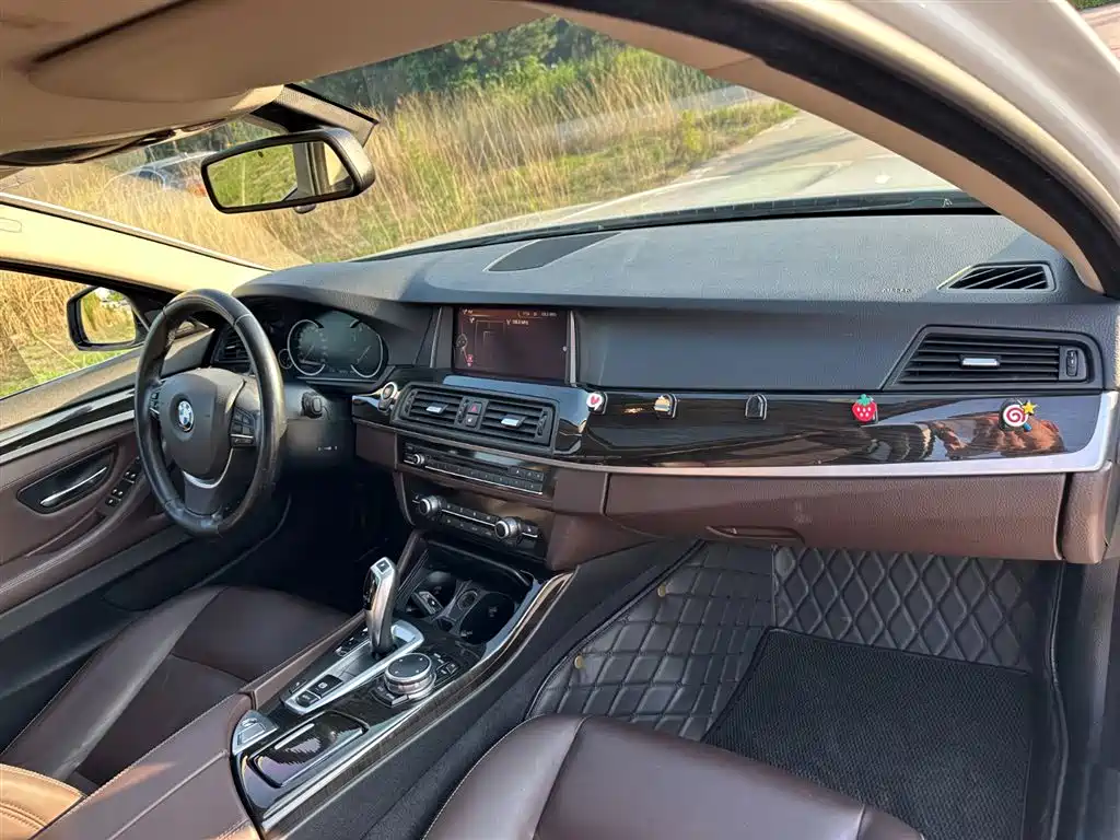BMW 5 Series 2016 — фото 17