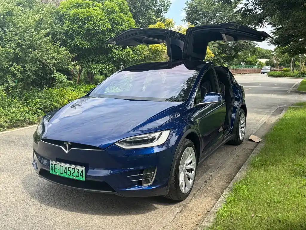 Tesla Model X 2016 — фото 14