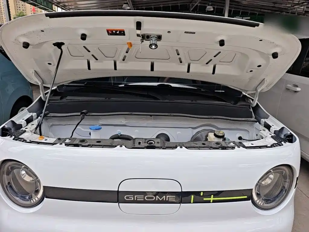 Geely Galaxy Panda 2025 — фото 20