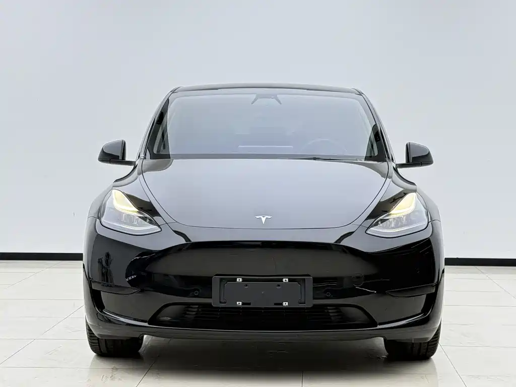 Tesla Model Y 2022 — фото 2