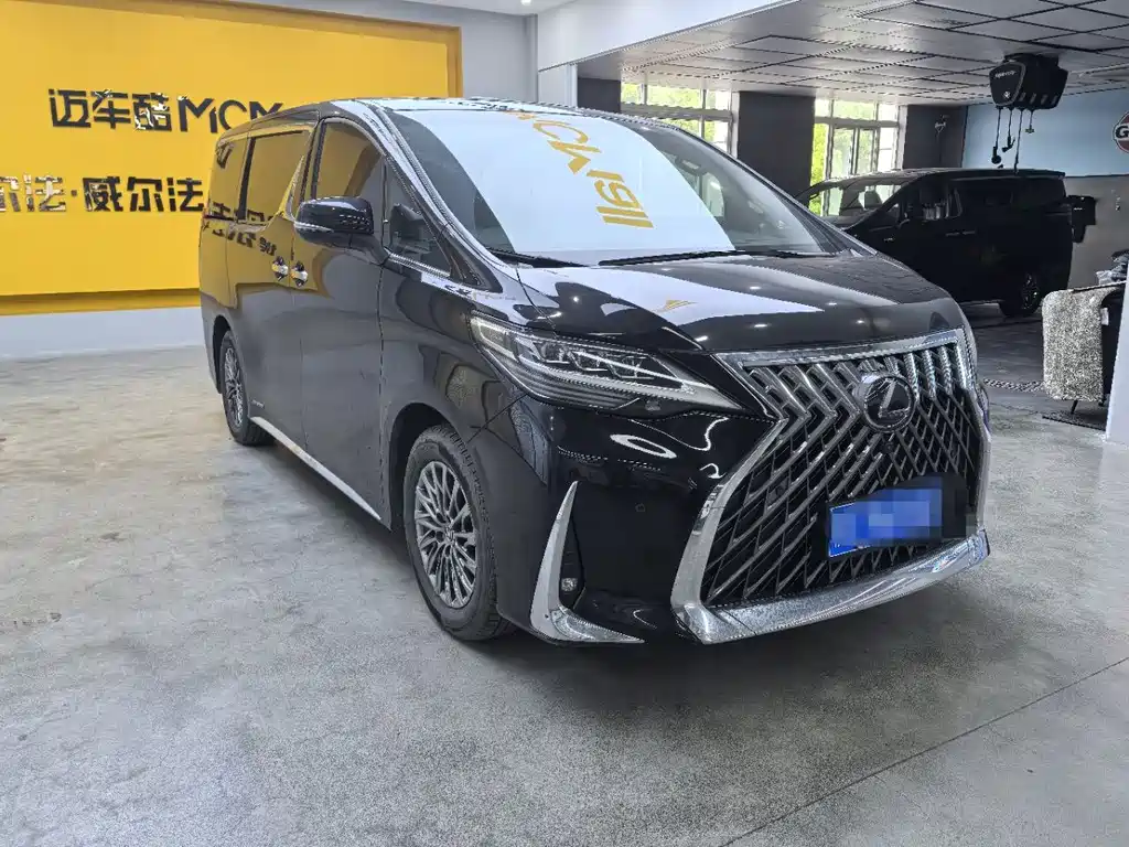 Lexus LM 2020 — фото 18