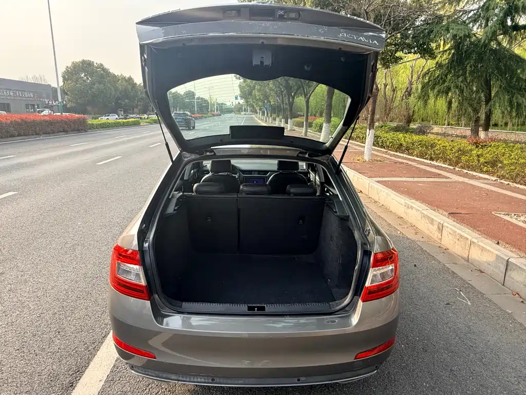 Skoda Octavia 2016 — фото 19