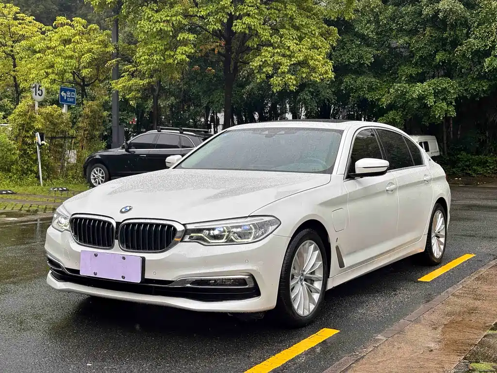 BMW 5 Series New Energy 2020